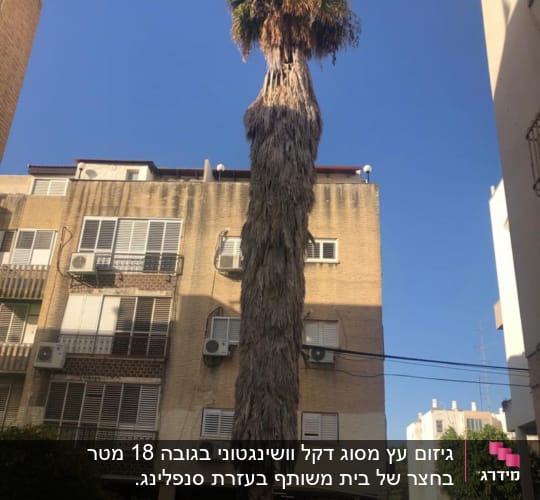 לפני